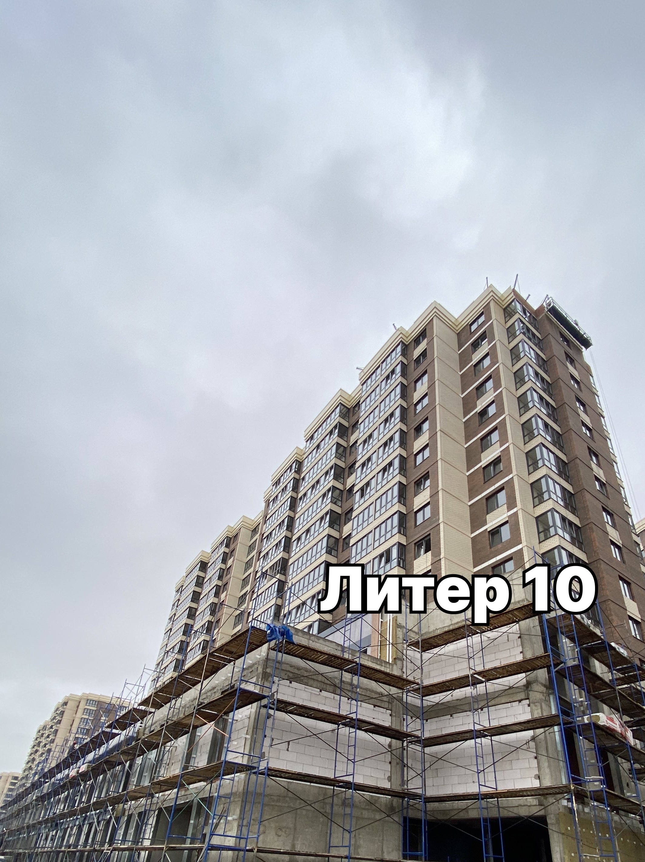 Фотография